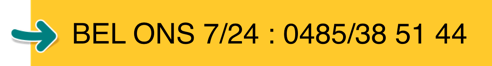 yellow-plain-banner